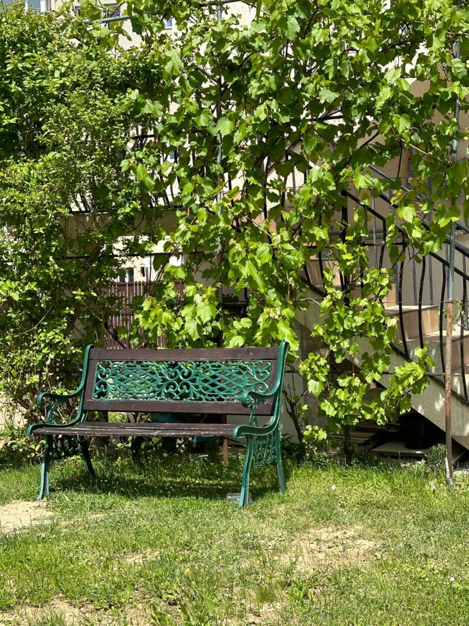 Cazare Zorilor Zarnesti Room photo